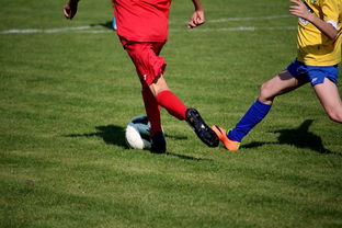 米兰体育网页版登陆-LPL多个队伍重组计划曝光转会期极度混乱，lpl战队转会期